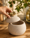 Pote Decorativo Camaleão em Polirresina Bege e Dourado