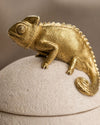 Pote Decorativo Camaleão em Polirresina Bege e Dourado