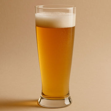 Jogo de 6 Copos de Cerveja Brasília Crisa  350ml