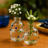 Vaso Bubble Soft